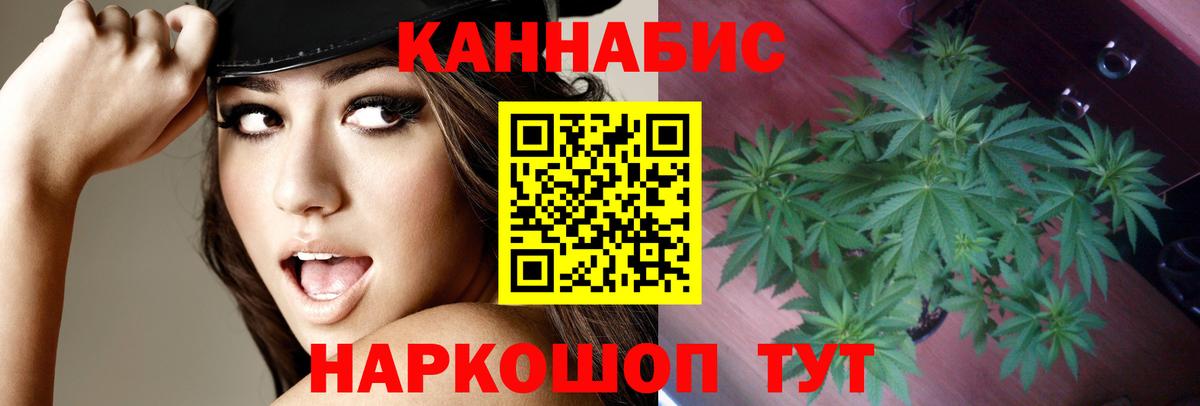 Бошки марихуана конопля Когалым
